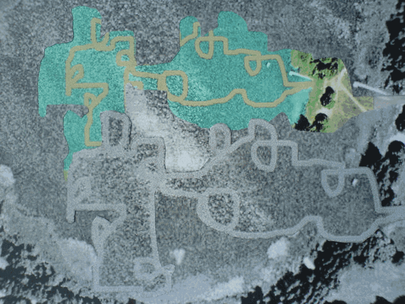 Laura Pearsall 451.gif